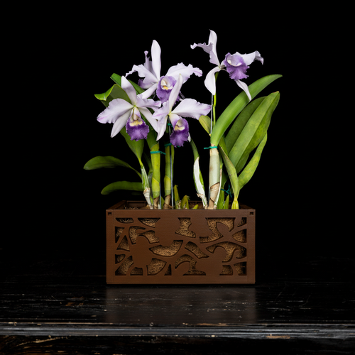10" Earth Brown planter with orchid